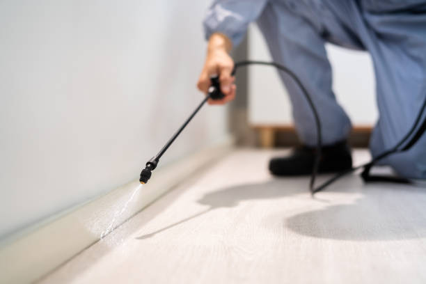 Bed Bug Pre-Treatment Preparation Assessment in Lake Arrowhead