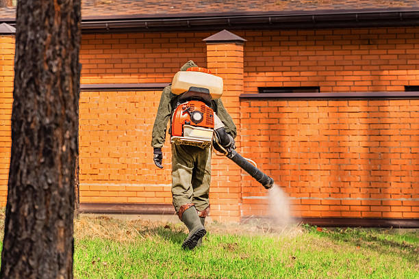 Bed Bug Clearance Verification and Documentation in Lake Arrowhead